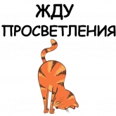 Стикер #2 из набора Йога с котом и лисичкой