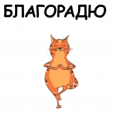 Стикер #4 из набора Йога с котом и лисичкой