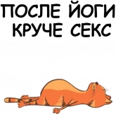 Стикер #9 из набора Йога с котом и лисичкой