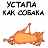 Стикер #5 из набора Йога с котом и лисичкой