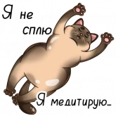 Стикер #12 из набора Його-котики