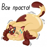 Стикер #10 из набора Його-котики