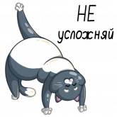 Стикер #11 из набора Його-котики