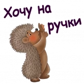 Стикер #12 из набора Мульт Ежики