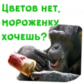 Стикер #5 из набора Женский день