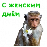 Стикер #7 из набора Женский день