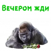 Стикер #12 из набора Женский день