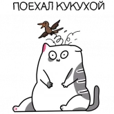 Стикер #8 из набора Жиробарсик 3